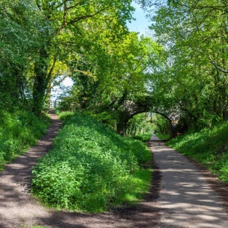 Kenilworth Greenway | Things To Do In Kenilworth